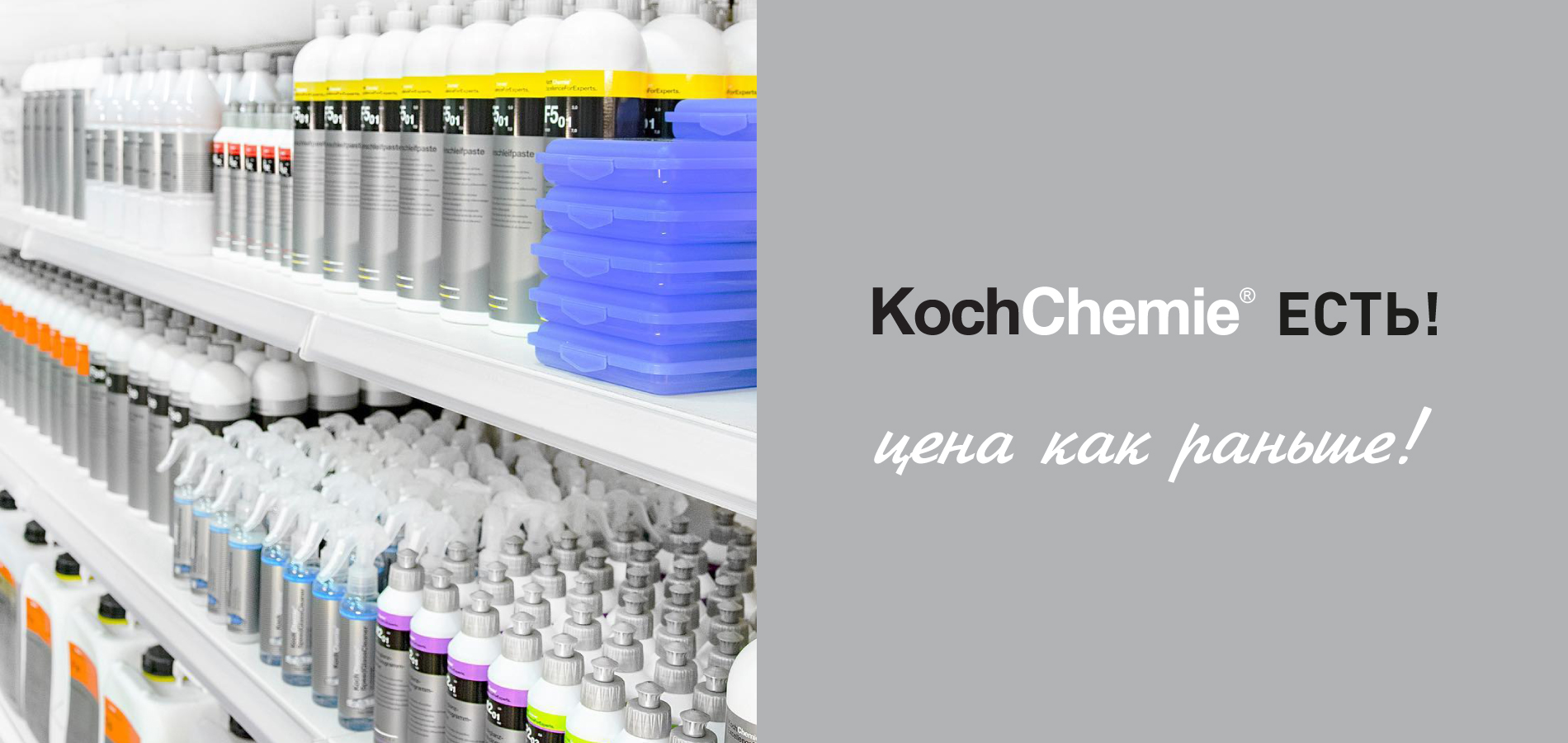 Koch есть