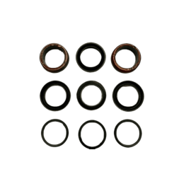 Фото Комплект манжет Kit seal 30623 для насоса высокого давления CAT 310, 340, 350