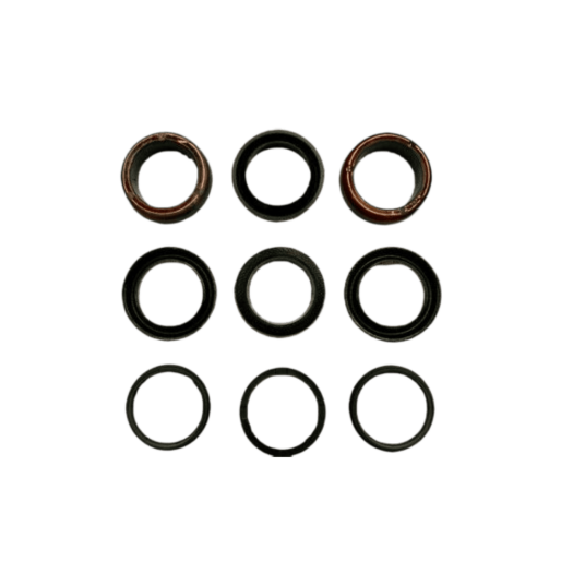 Фото Комплект манжет Kit seal 30623 для насоса высокого давления CAT 310, 340, 350