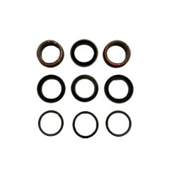 Фото Комплект манжет Kit seal 30623 для насоса высокого давления CAT 310, 340, 350